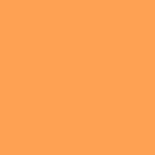 Orange melon